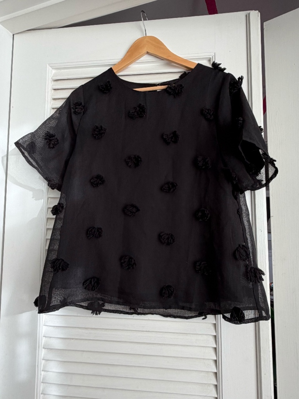 ROOLEE Black Sheer Pom Pom Textured Blouse Size M